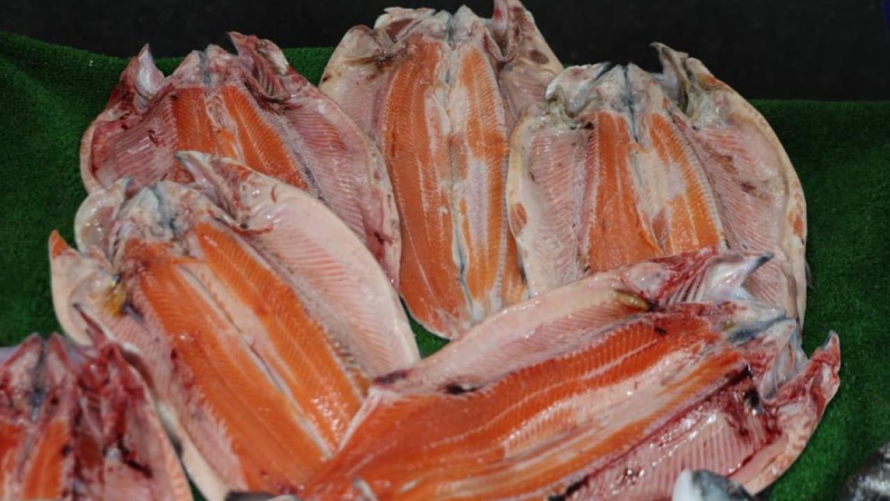 Foto - Havalar soğudu balığa ilgi arttı