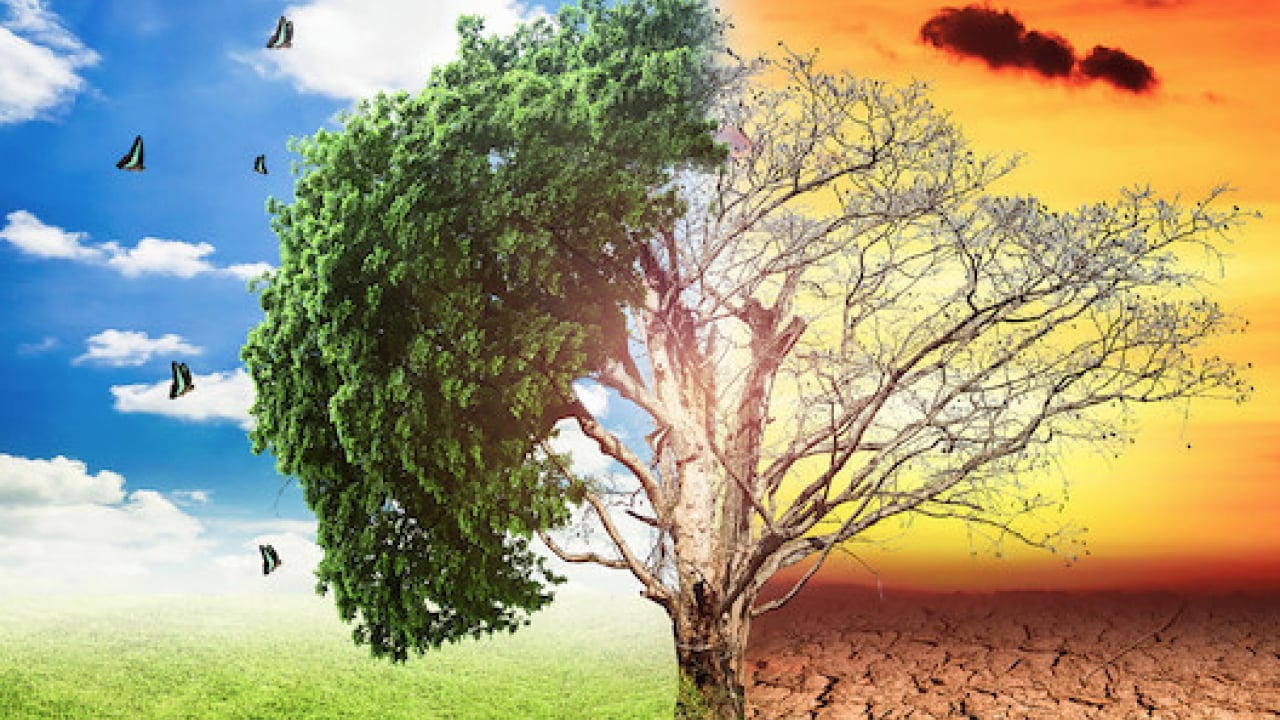 Foto - Havaların değişmesiyle birlikte, mevsim geçişlerinde bedeninizi dinç tutun yoksa...