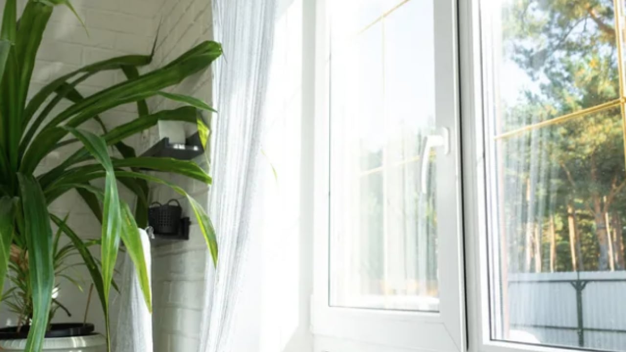 Foto - Havaların ısınmasıyla birlikte... Pencerenin önüne koyarsanız sinekler bir daha yaklaşmayacak