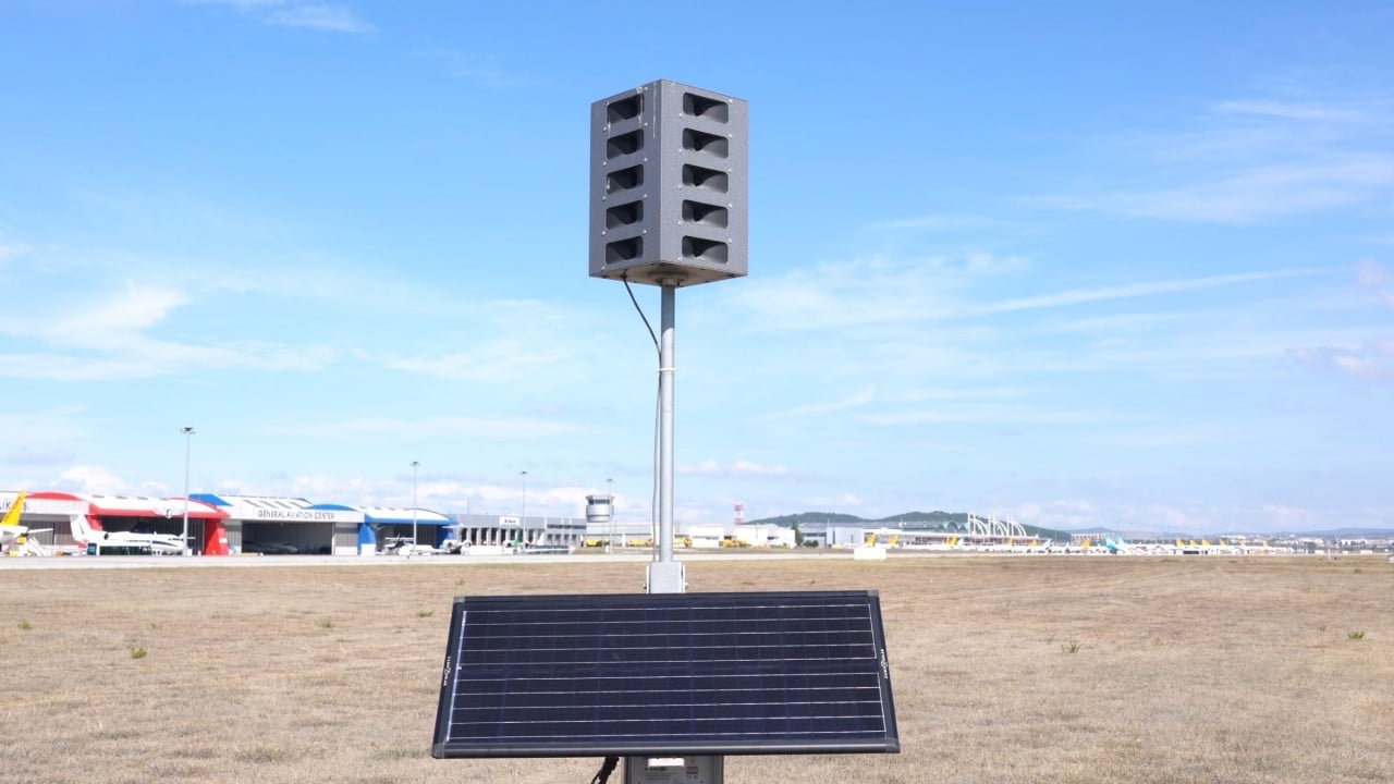 Foto - Havalimanları ornitologlara emanet