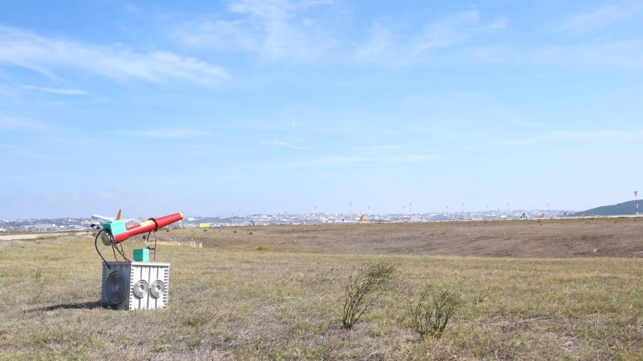 Foto - Havalimanları ornitologlara emanet