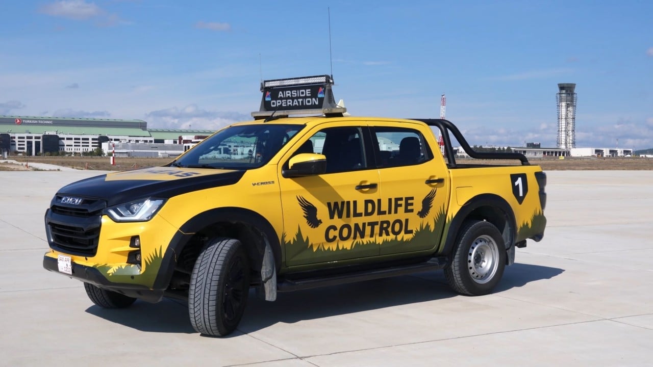 Foto - Havalimanları ornitologlara emanet