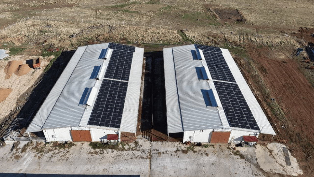 Foto - Hayaldi gerçek oldu: Yüzde 60 hibe desteğiyle 300 hayvanlık çiftlik kurdu