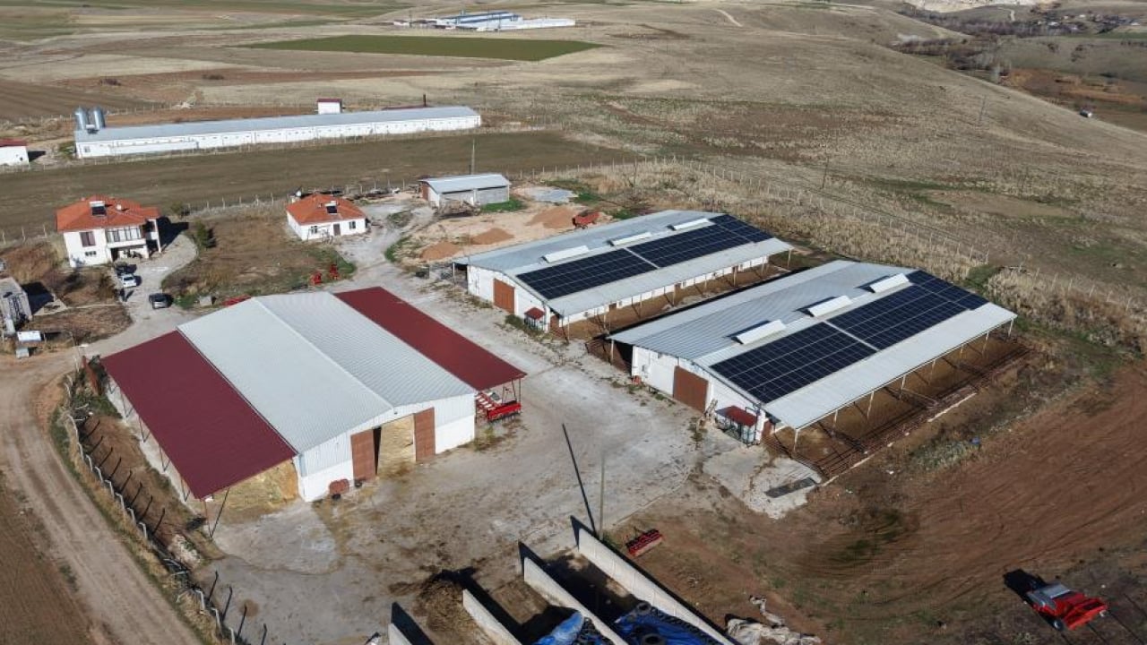 Foto - Hayaldi gerçek oldu: Yüzde 60 hibe desteğiyle 300 hayvanlık çiftlik kurdu