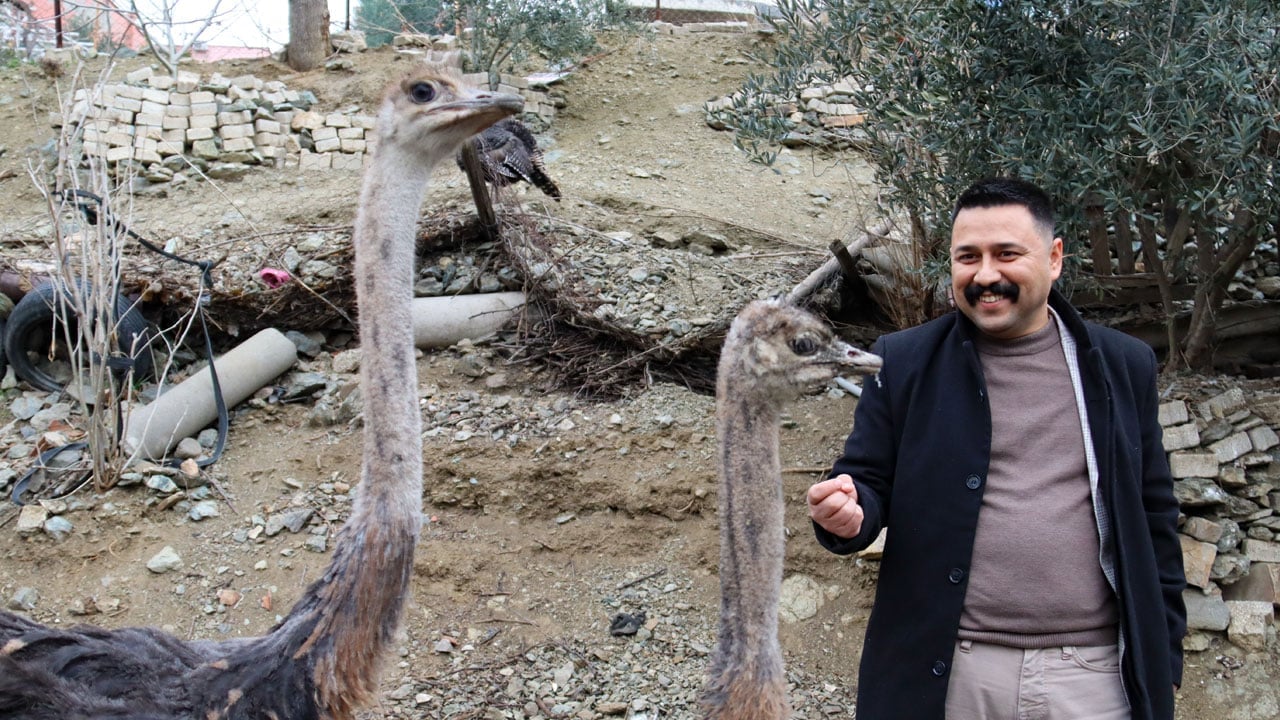 Foto - Hayalleri yeniden şekillendi! Hediye gelen deve kuşu hayatını değiştirdi