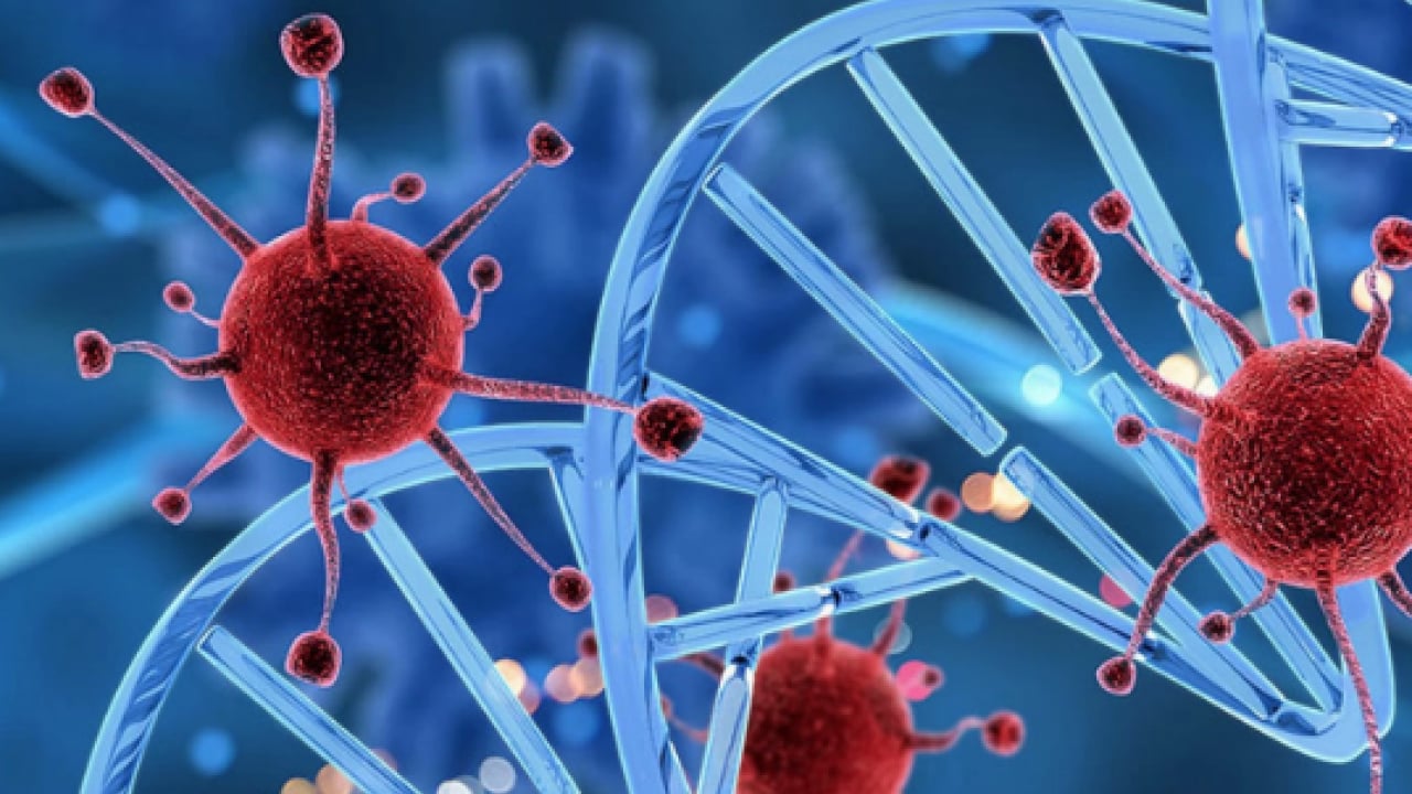 Foto - Hayati uyarılar: 'Kanserden korunmak mümkün' dedi ve ekledi...