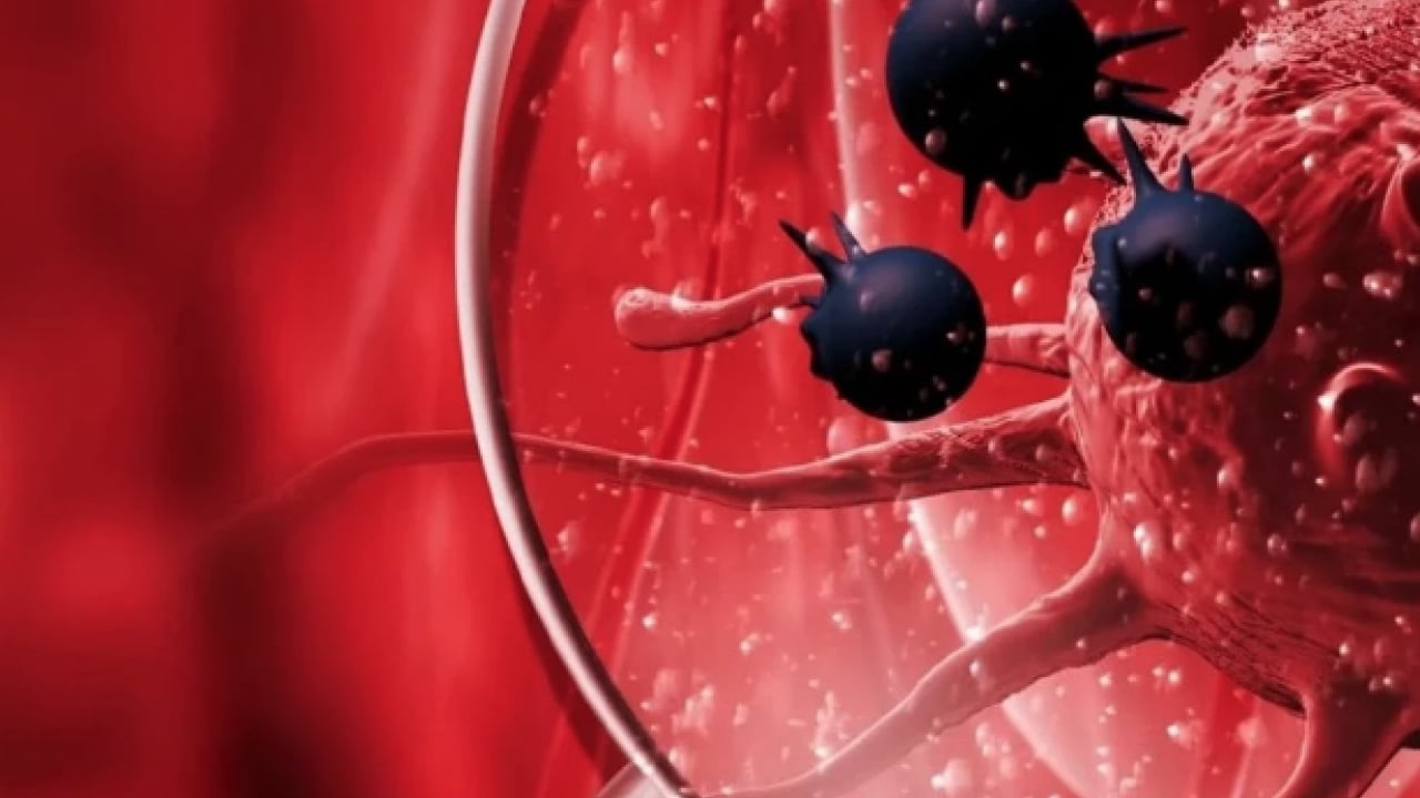 Foto - Hayati uyarılar: 'Kanserden korunmak mümkün' dedi ve ekledi...