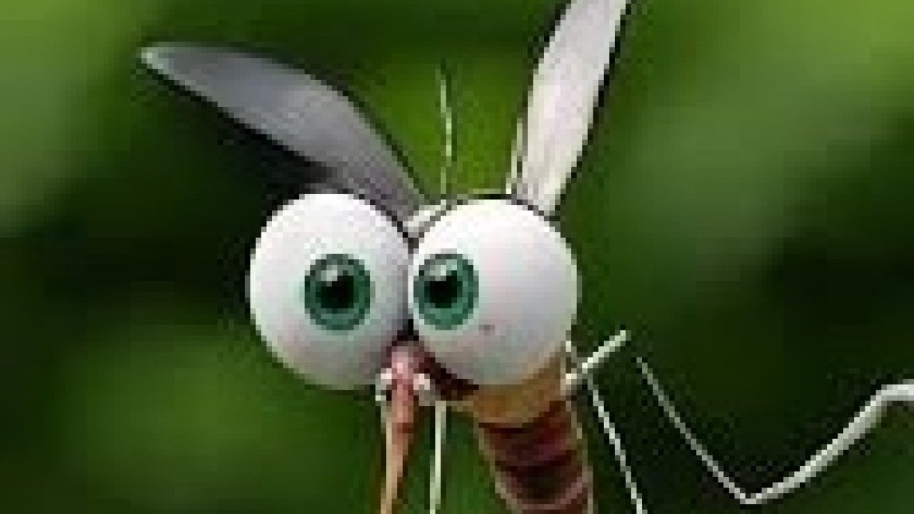 Hayatları boyunca hiç görmemişler! Şaka gibi ama, bu ülkelerde bir tane bile sivrisinek yok