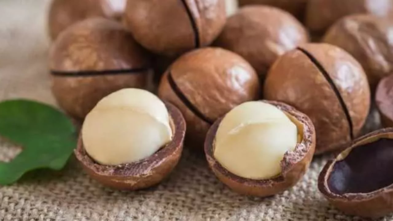 Foto - Hafızayı şaha kaldırıyor: Günde bir avuç tüketin!