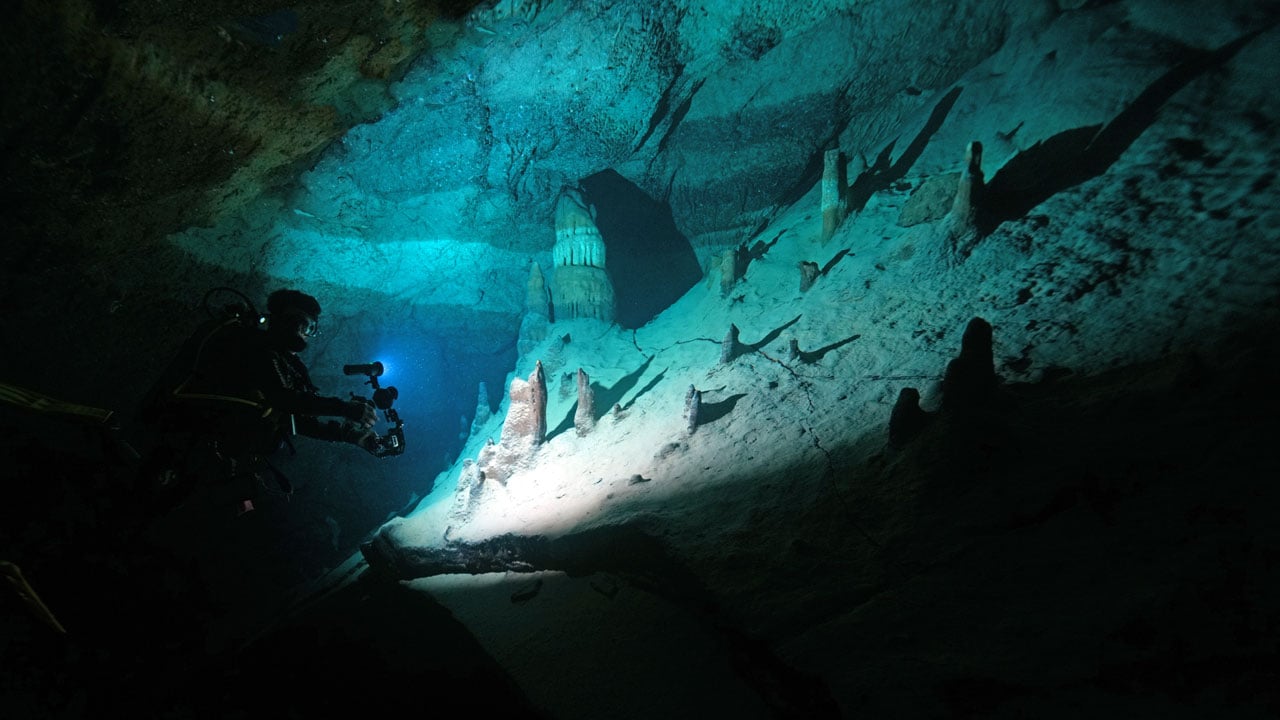 Foto - Hayran bırakan görüntüler! Doğu Akdeniz'in saklı dünyası kayda alındı