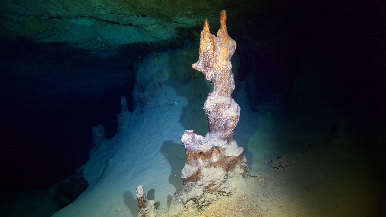Foto - Hayran bırakan görüntüler! Doğu Akdeniz'in saklı dünyası kayda alındı