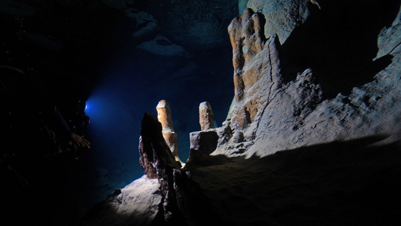 Foto - Hayran bırakan görüntüler! Doğu Akdeniz'in saklı dünyası kayda alındı