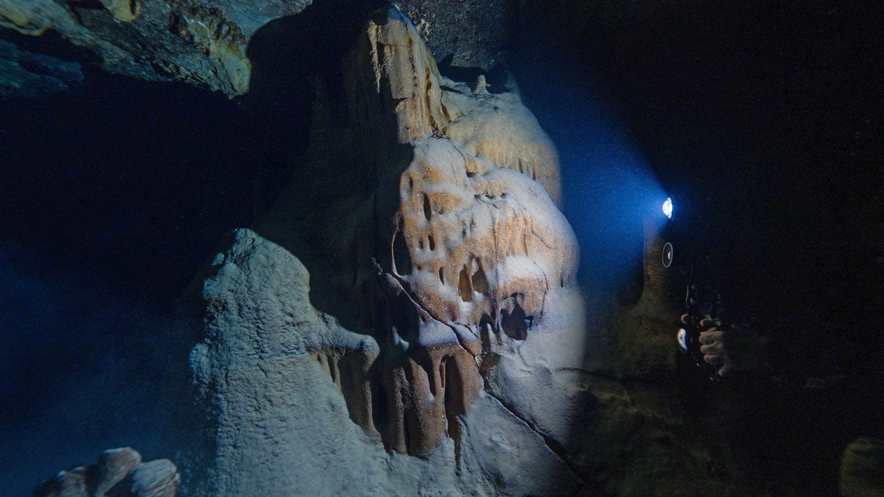 Foto - Hayran bırakan görüntüler! Doğu Akdeniz'in saklı dünyası kayda alındı