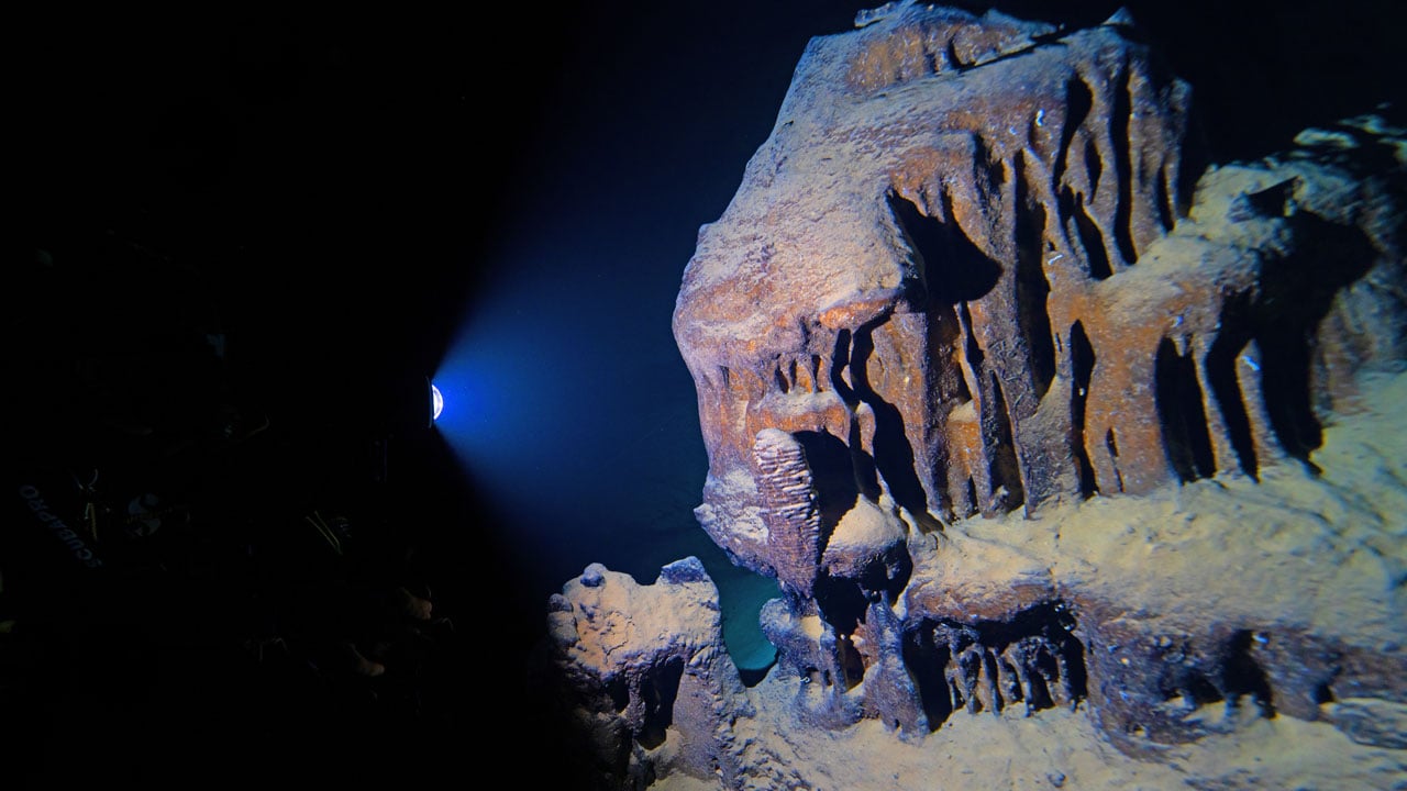 Foto - Hayran bırakan görüntüler! Doğu Akdeniz'in saklı dünyası kayda alındı