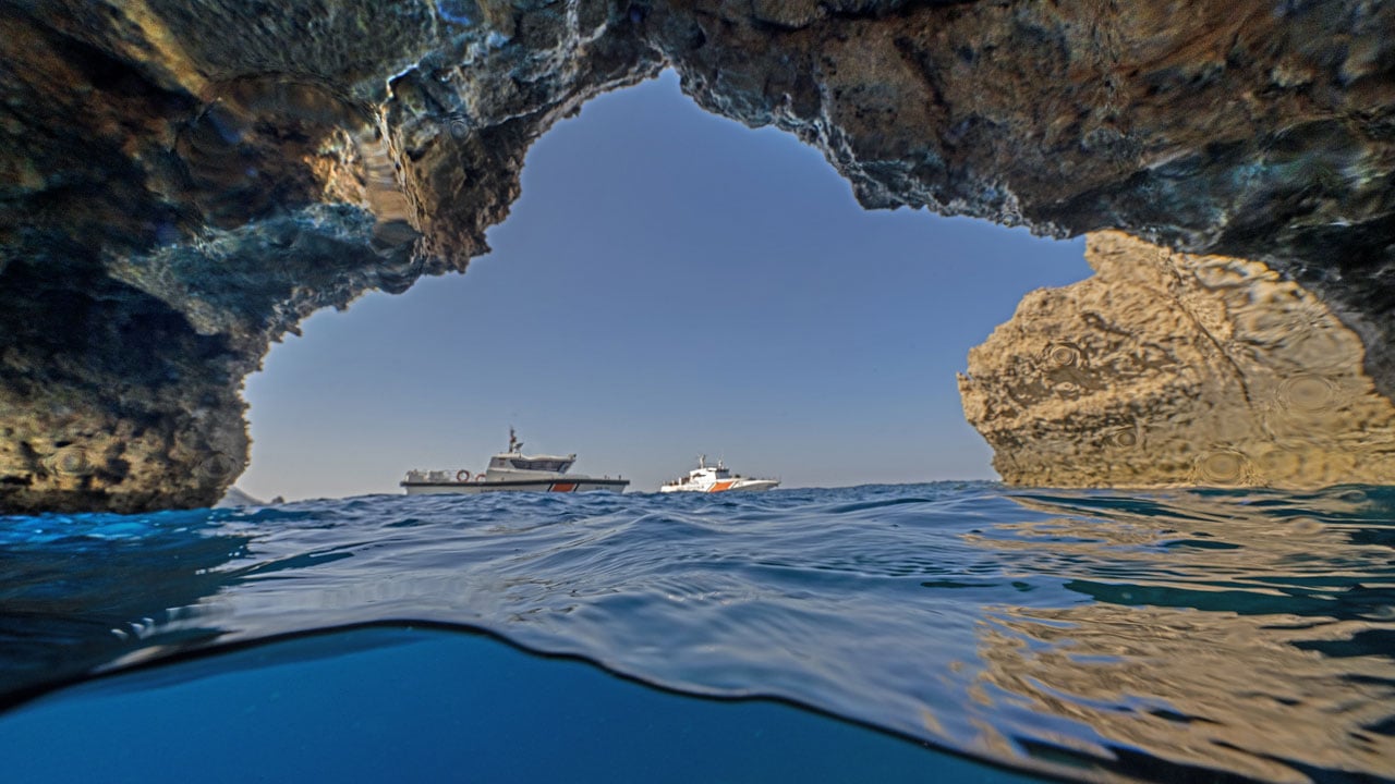 Foto - Hayran bırakan görüntüler! Doğu Akdeniz'in saklı dünyası kayda alındı