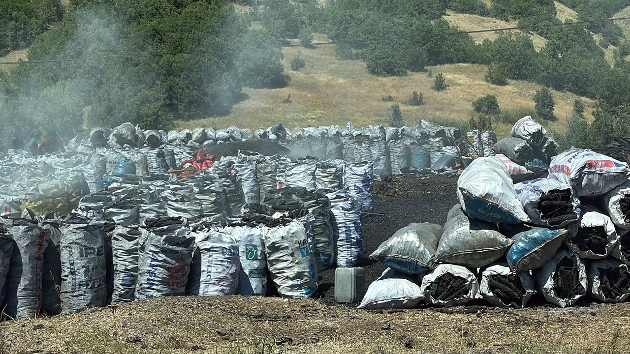 Foto - Hayvan ölümlerinin sebebi kömür üretim alanı mı? 5 günde 9 buzağı telef oldu