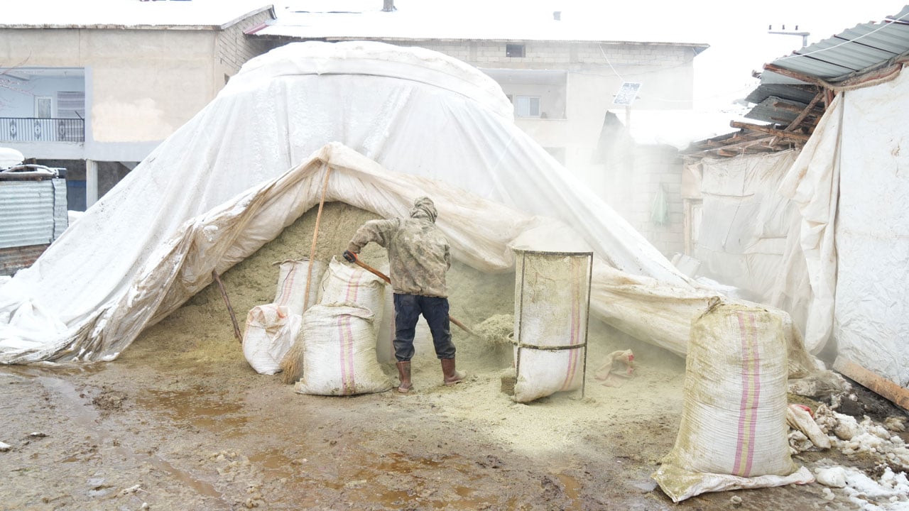 Foto - Hayvan varlığı hızla arttı! Devlet destekleri sonuç verdi