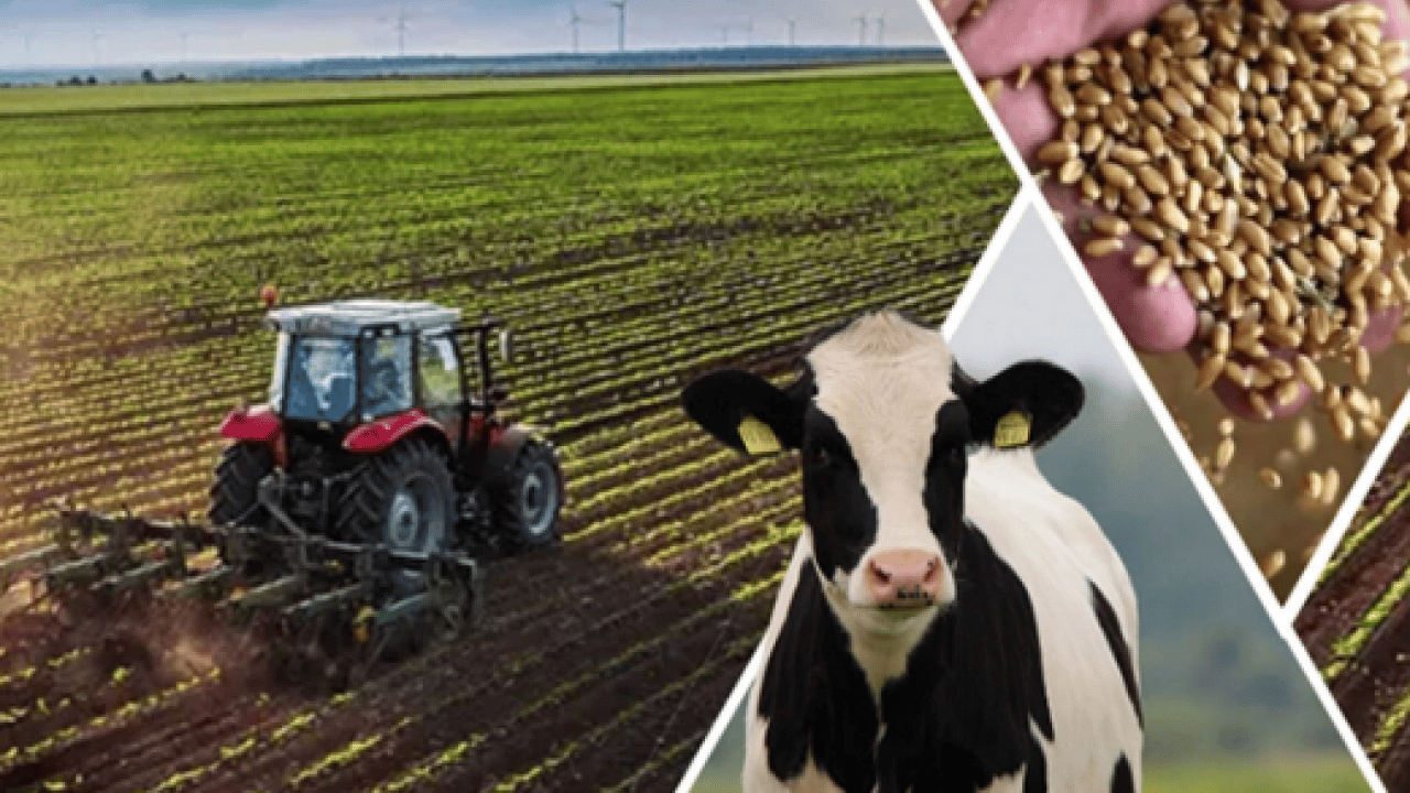 Hayvancılıktan turizme dev destek! Yerel Kalkınma Teşvik Programı başvurular başlıyor