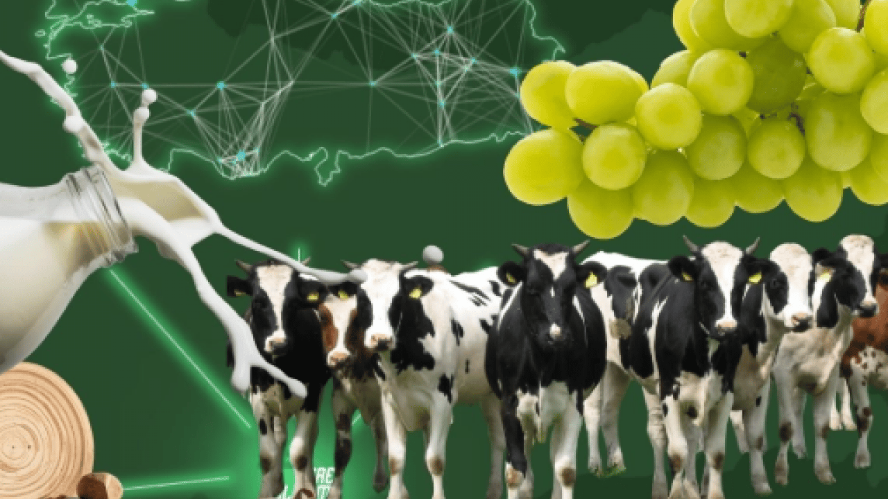 Foto - Hayvancılıktan turizme dev destek! Yerel Kalkınma Teşvik Programı başvurular başlıyor