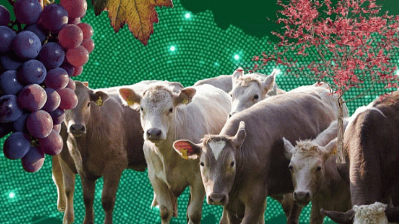 Foto - Hayvancılıktan turizme dev destek! Yerel Kalkınma Teşvik Programı başvurular başlıyor