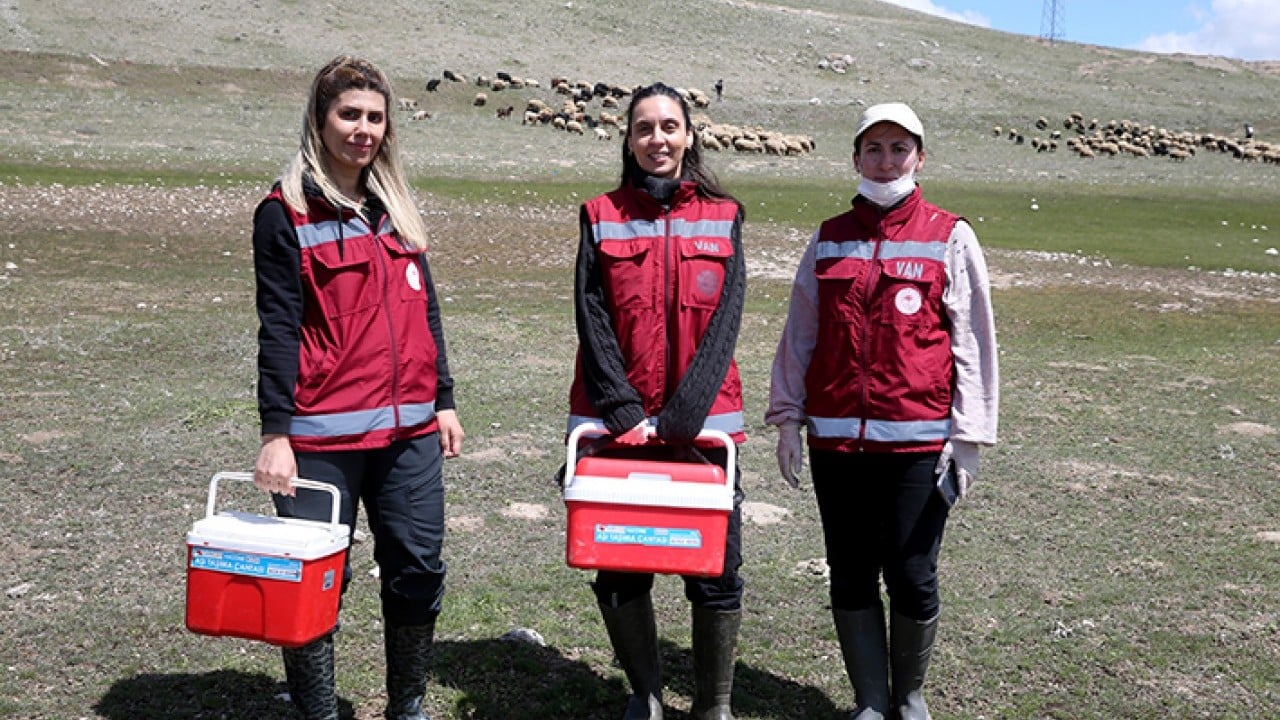 Foto - Hayvanların sağlığı onlara emanet Van’da kadın veterinerler iş başında