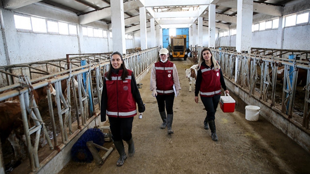 Foto - Hayvanların sağlığı onlara emanet Van’da kadın veterinerler iş başında