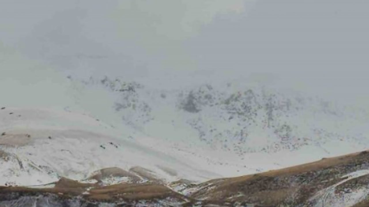 Foto - Haziran ayında Süphan Dağı’nda kar sürprizi