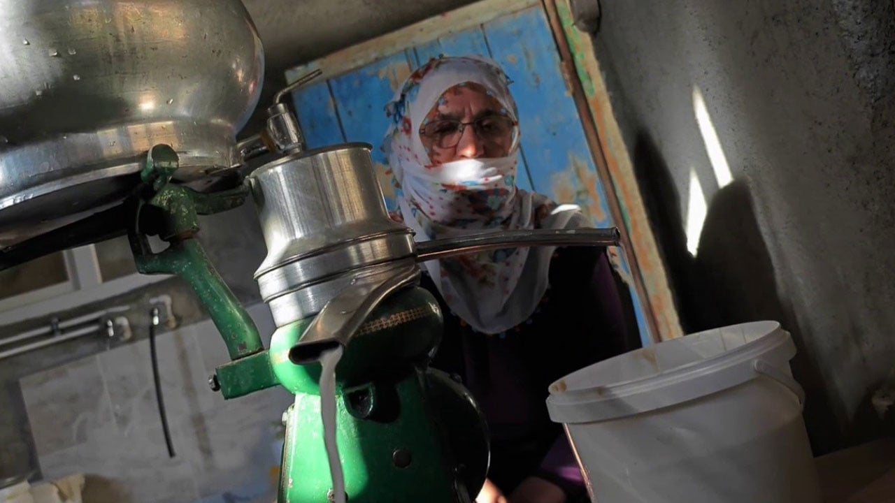 Foto - Hazırlanması 4 ay sürüyor! Bu peynir tam bir şifa kaynağı