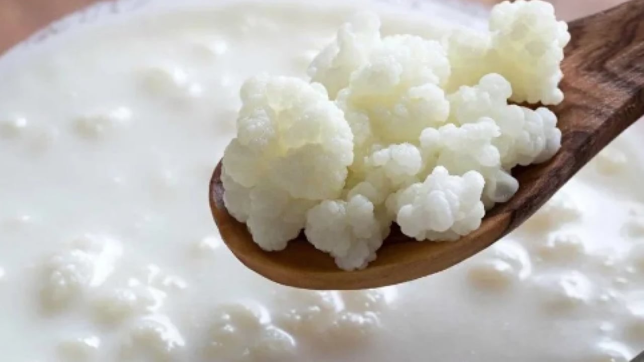 Foto - Hem bağırsakları hem de yağ yakımını... Metabolizmayı ateşleyen kadim içecek! Özellikle aç karnına..