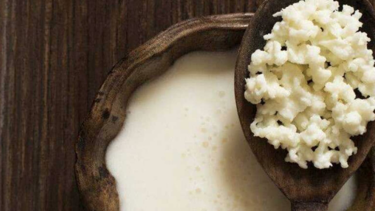 Foto - Hem bağırsakları hem de yağ yakımını... Metabolizmayı ateşleyen kadim içecek! Özellikle aç karnına..