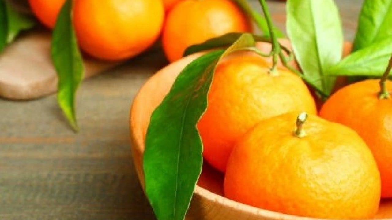 Foto - Hem lezzetli hem de faydalı! Mandalinanın sağlığa yararları açıklandı