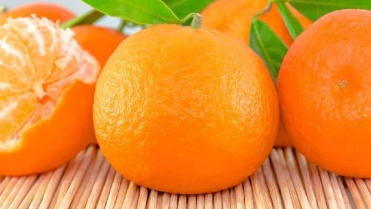 Foto - Hem lezzetli hem de faydalı! Mandalinanın sağlığa yararları açıklandı