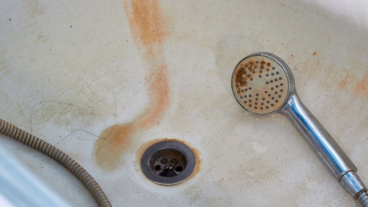 Foto - Hem sağlığı hem evi tehdit ediyor! İşte banyodaki küften kurtulmanın en kolay yolu