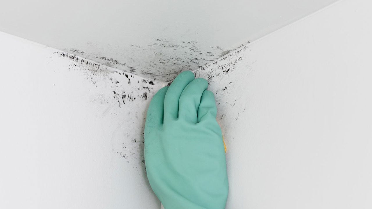 Foto - Hem sağlığı hem evi tehdit ediyor! İşte banyodaki küften kurtulmanın en kolay yolu