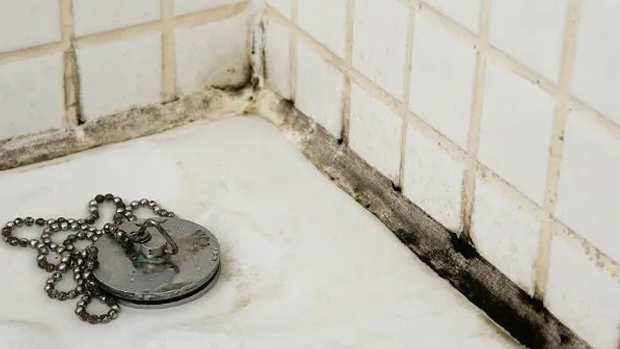 Foto - Hem sağlığı hem evi tehdit ediyor! İşte banyodaki küften kurtulmanın en kolay yolu