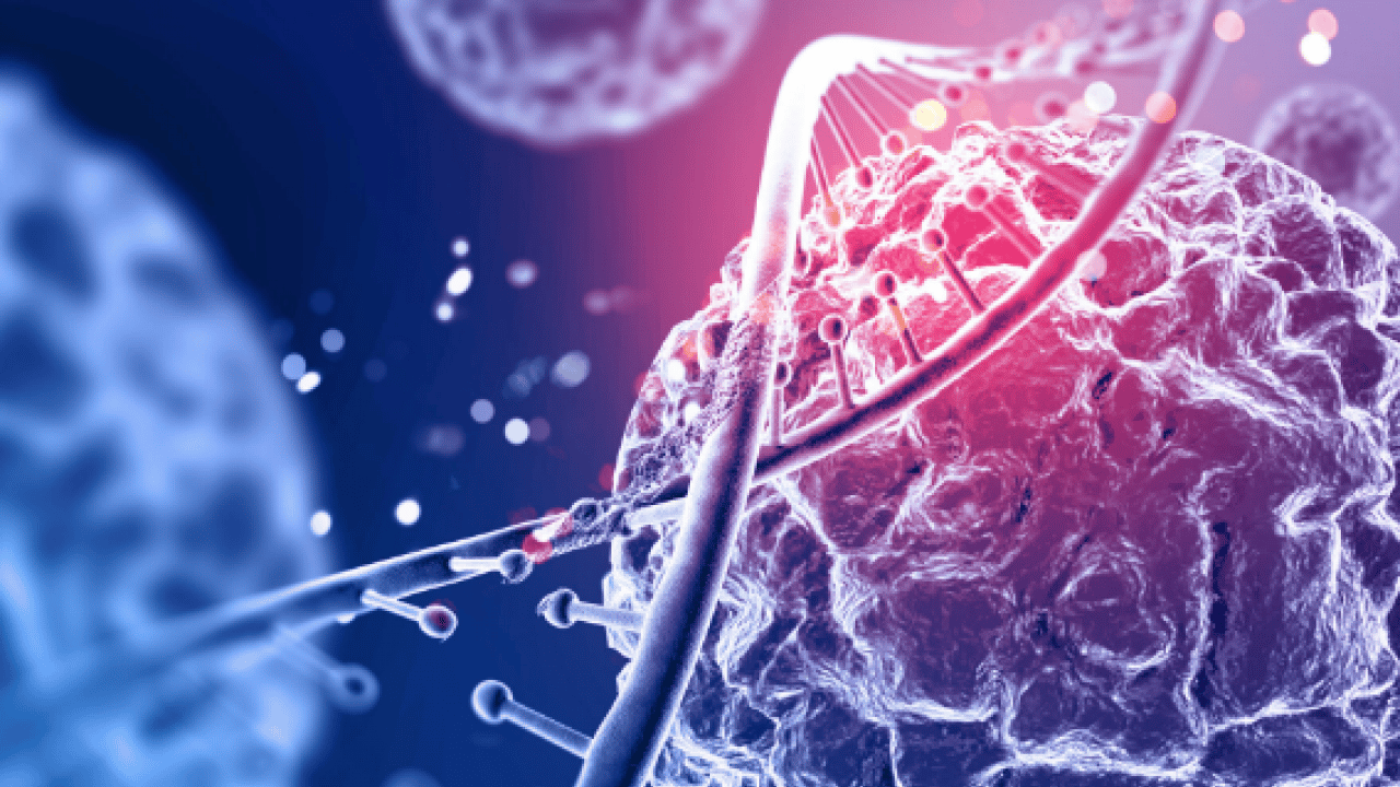 Foto - Hematolojide umut veren yeni dönem! Kemik iliği nakli, hücresel tedaviler ve...