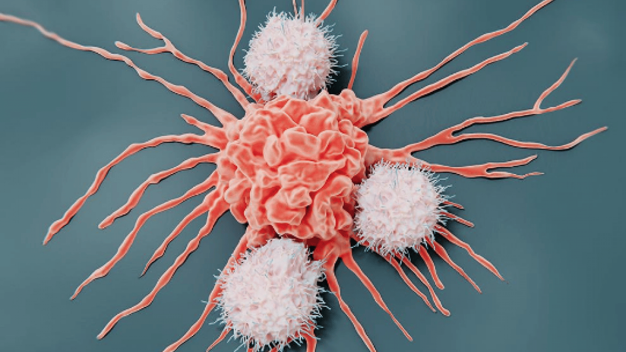 Foto - Hematolojide umut veren yeni dönem! Kemik iliği nakli, hücresel tedaviler ve...