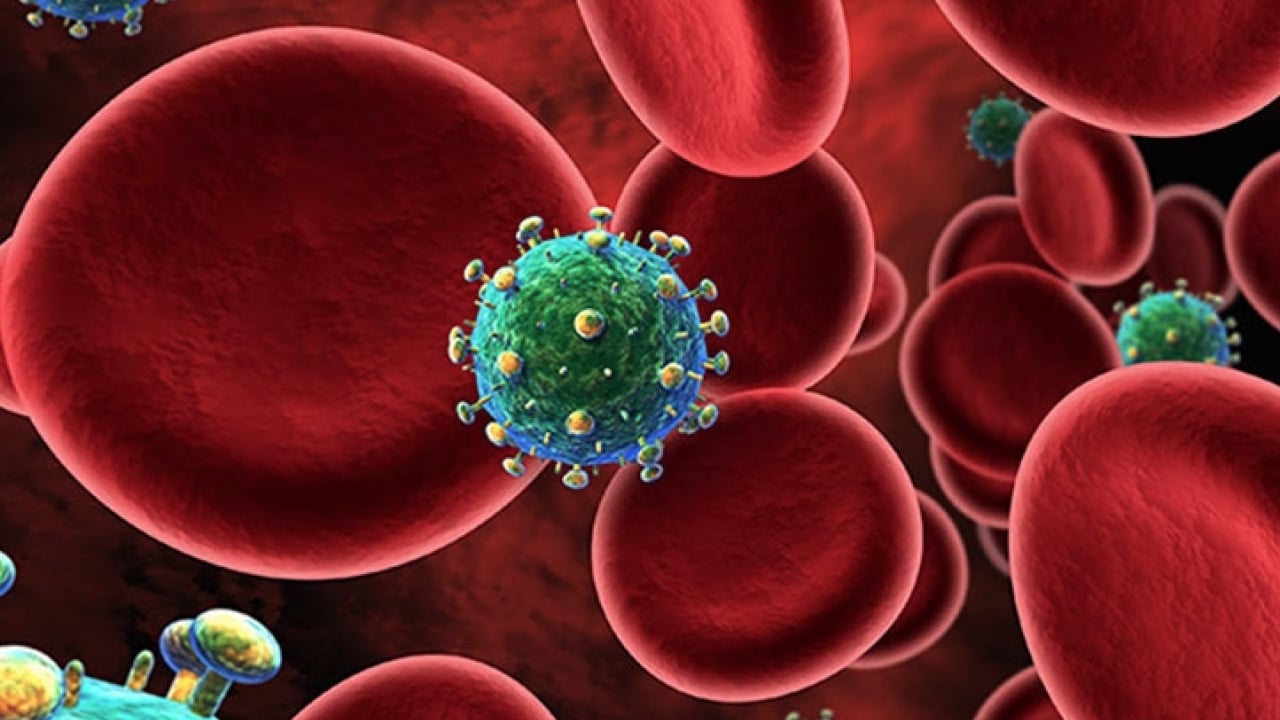 Hematolojide umut veren yeni dönem! Kemik iliği nakli, hücresel tedaviler ve...