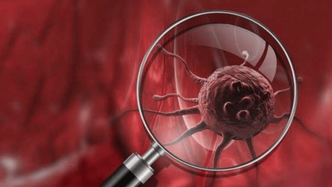 Foto - Hematolojide umut veren yeni dönem! Kemik iliği nakli, hücresel tedaviler ve...