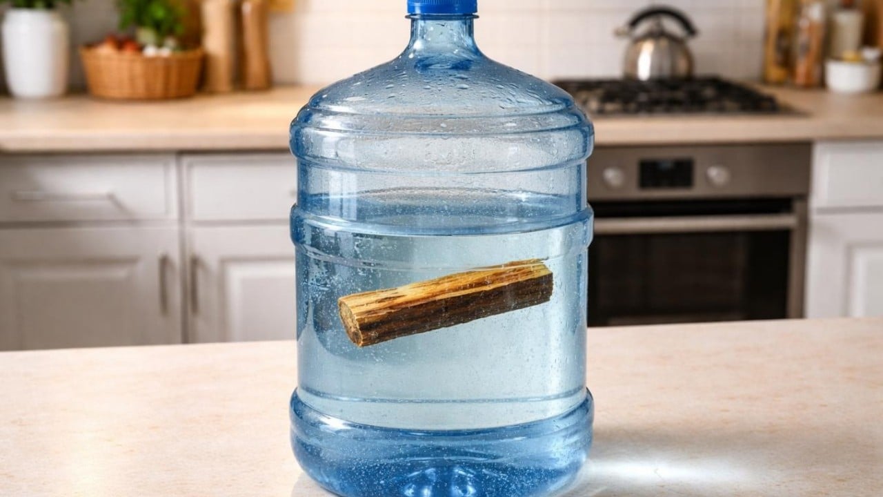 Foto - Hemen damacananın içine bir tane atın! Kafanız rahat etsin...