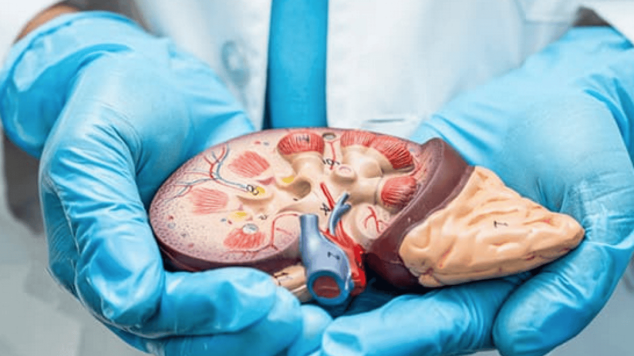 Foto - Hepatit B aşısı son derece... Karaciğer kanseri erken tanıyla kontrol altına alınabilir...