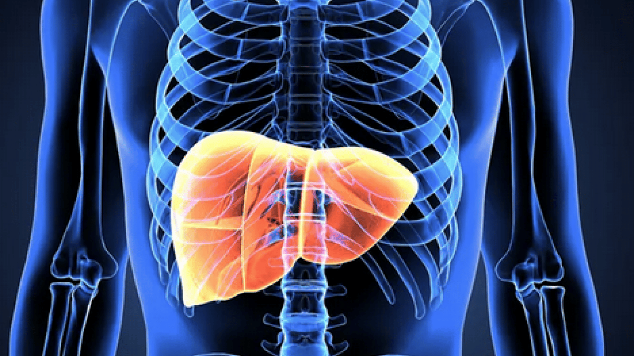 Foto - Hepatit B aşısı son derece... Karaciğer kanseri erken tanıyla kontrol altına alınabilir...