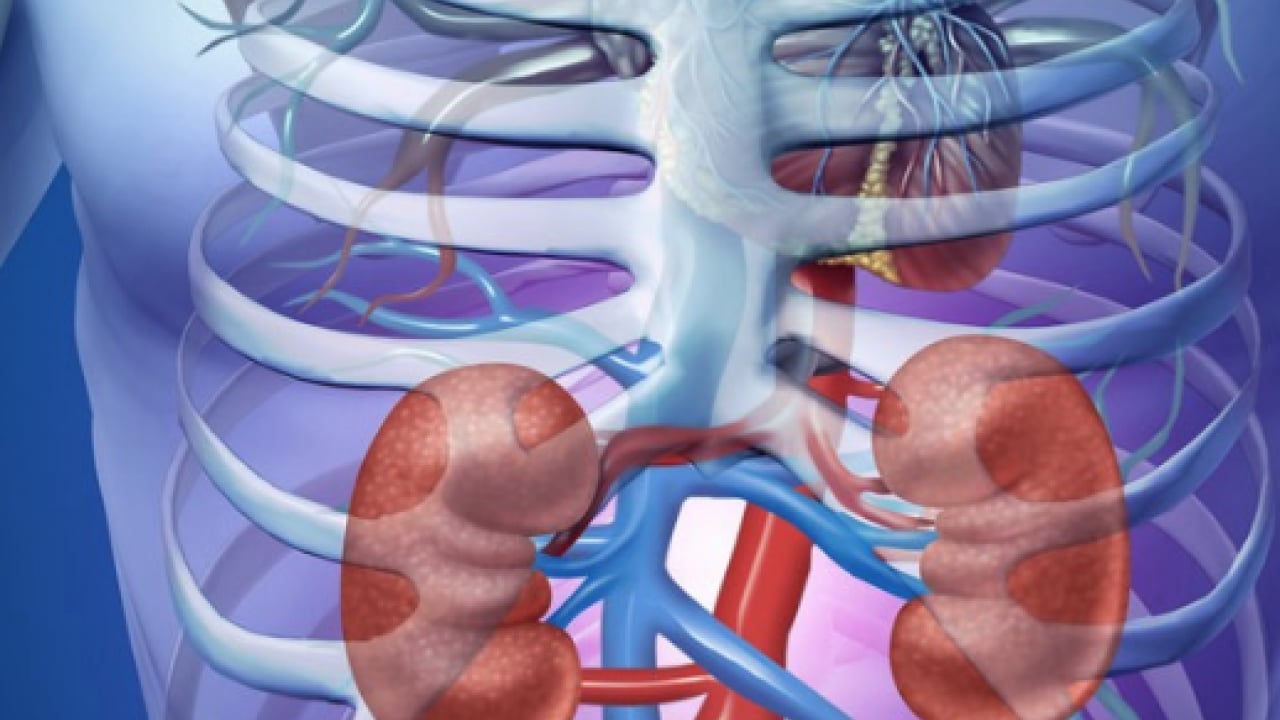 Foto - Her 10 kişiden yaklaşık 1'inde... Düzenli böbrek kontrolü çağrısı: