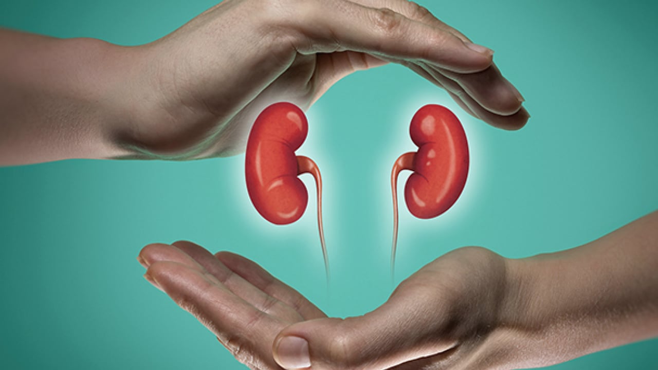 Foto - Her 10 kişiden yaklaşık 1'inde... Düzenli böbrek kontrolü çağrısı: