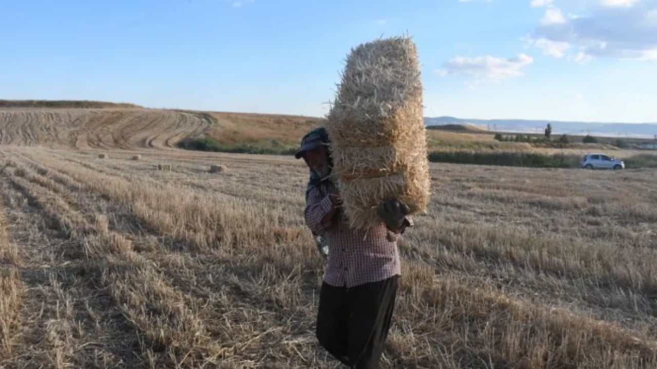 Foto - Her baba yiğidin harcı değil: Bu işi yapanın günlüğü 7 bin TL