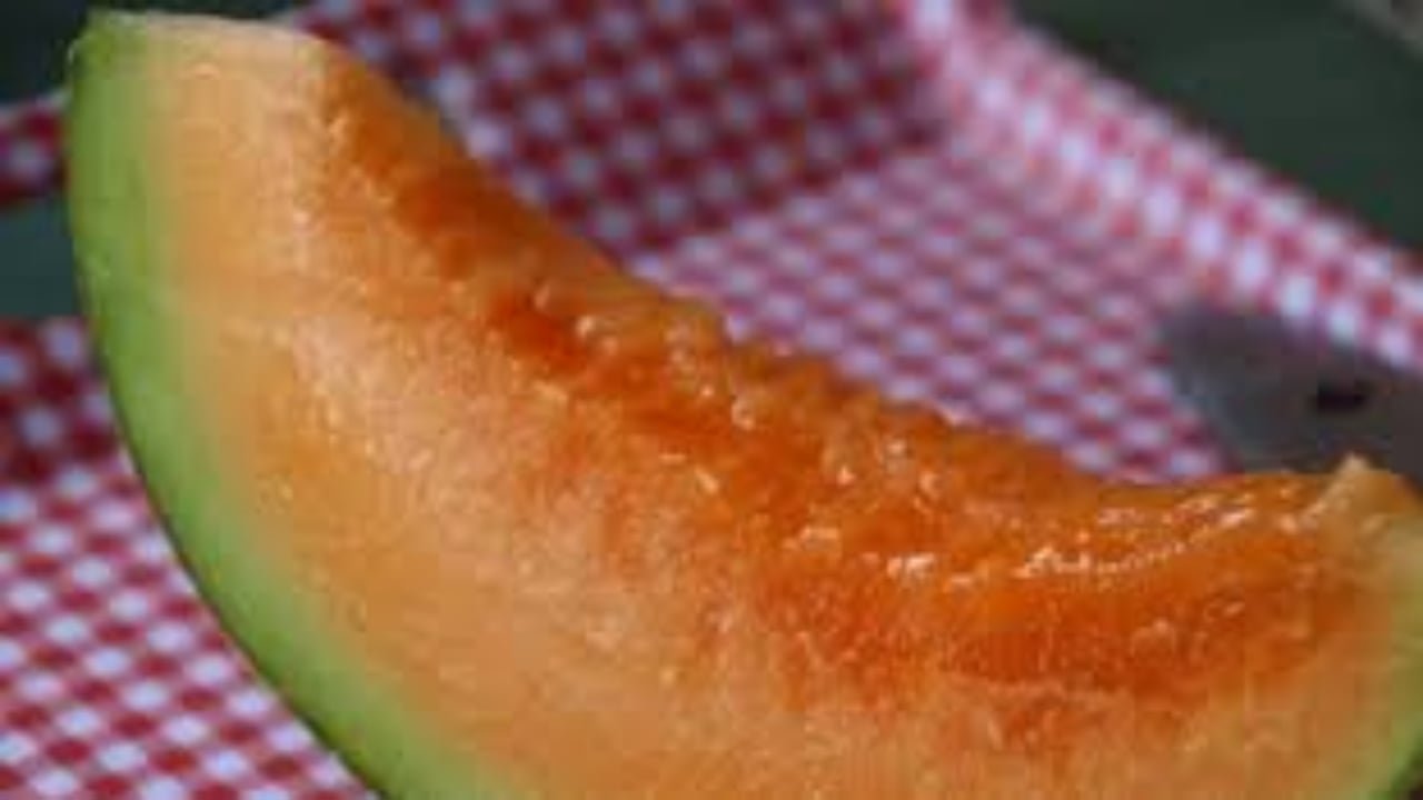 Foto - Her gün elle masaj yaparak yetiştiriyorlar: Tanesi tam 28 bin TL’den satışa çıktı