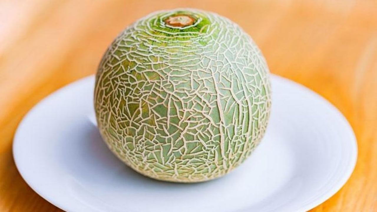 Foto - Her gün elle masaj yaparak yetiştiriyorlar: Tanesi tam 28 bin TL’den satışa çıktı