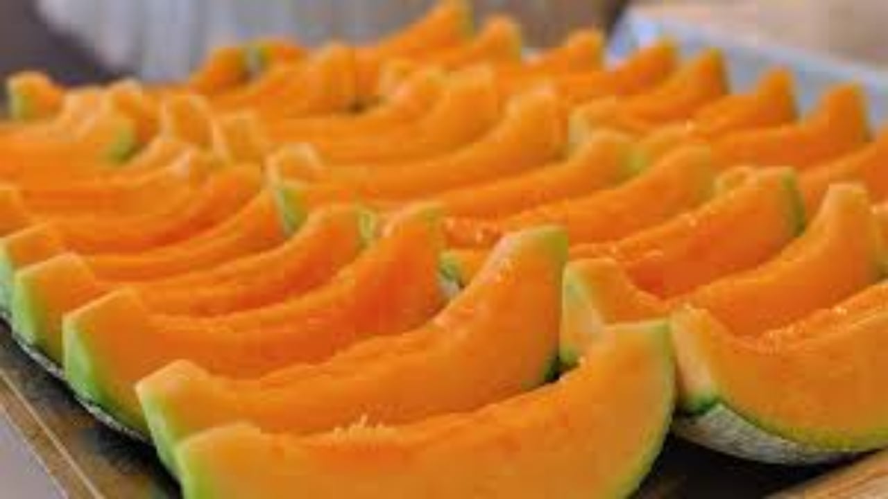 Foto - Her gün elle masaj yaparak yetiştiriyorlar: Tanesi tam 28 bin TL’den satışa çıktı