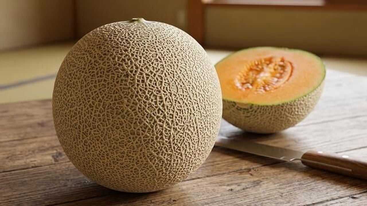 Foto - Her gün elle masaj yaparak yetiştiriyorlar: Tanesi tam 28 bin TL’den satışa çıktı