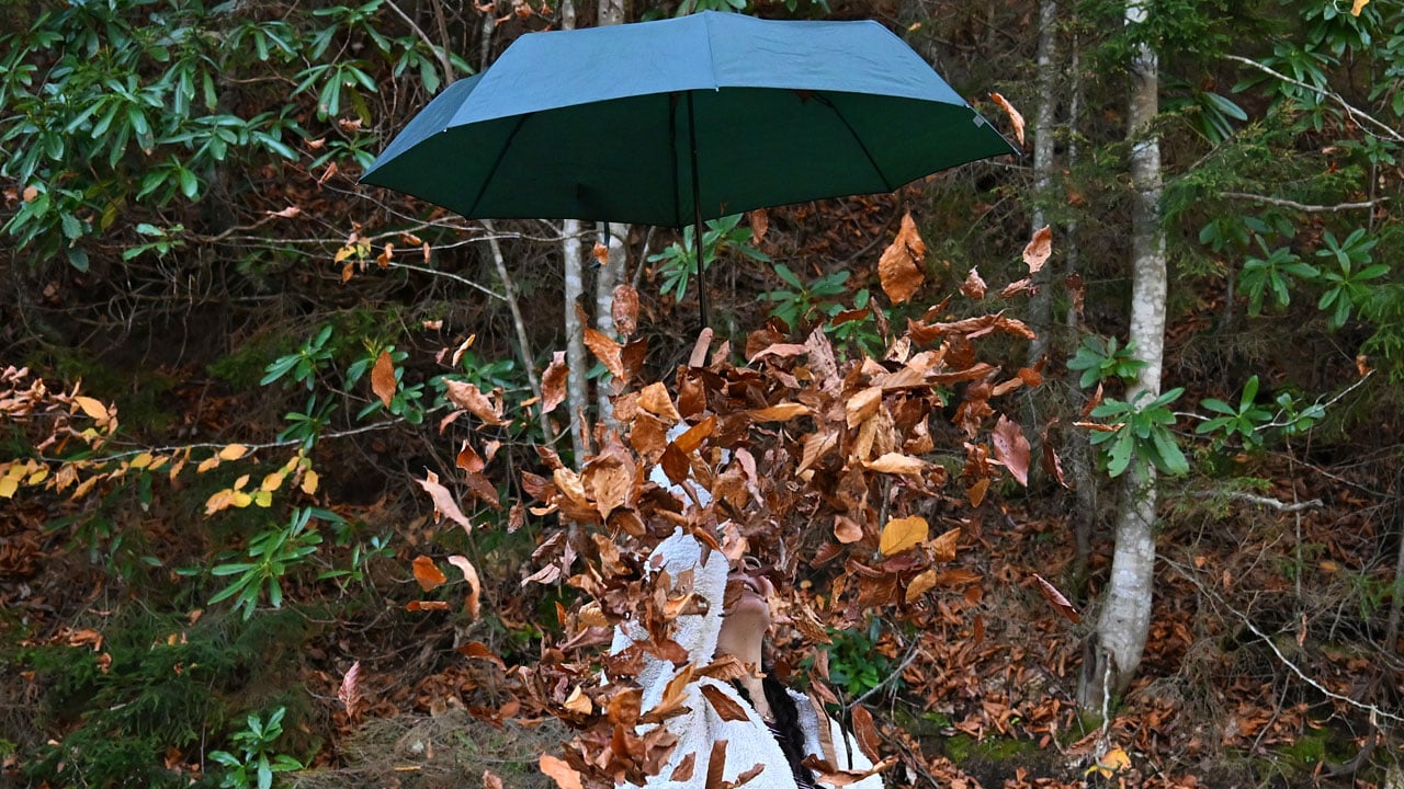 Foto - Her karesi kartpostal gibi! Hamsiköy’de doğa mest ediyor